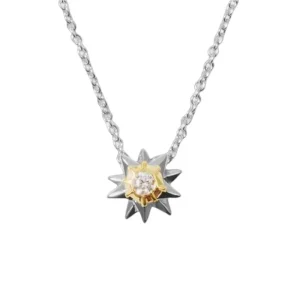 Collier Pokémon Stari